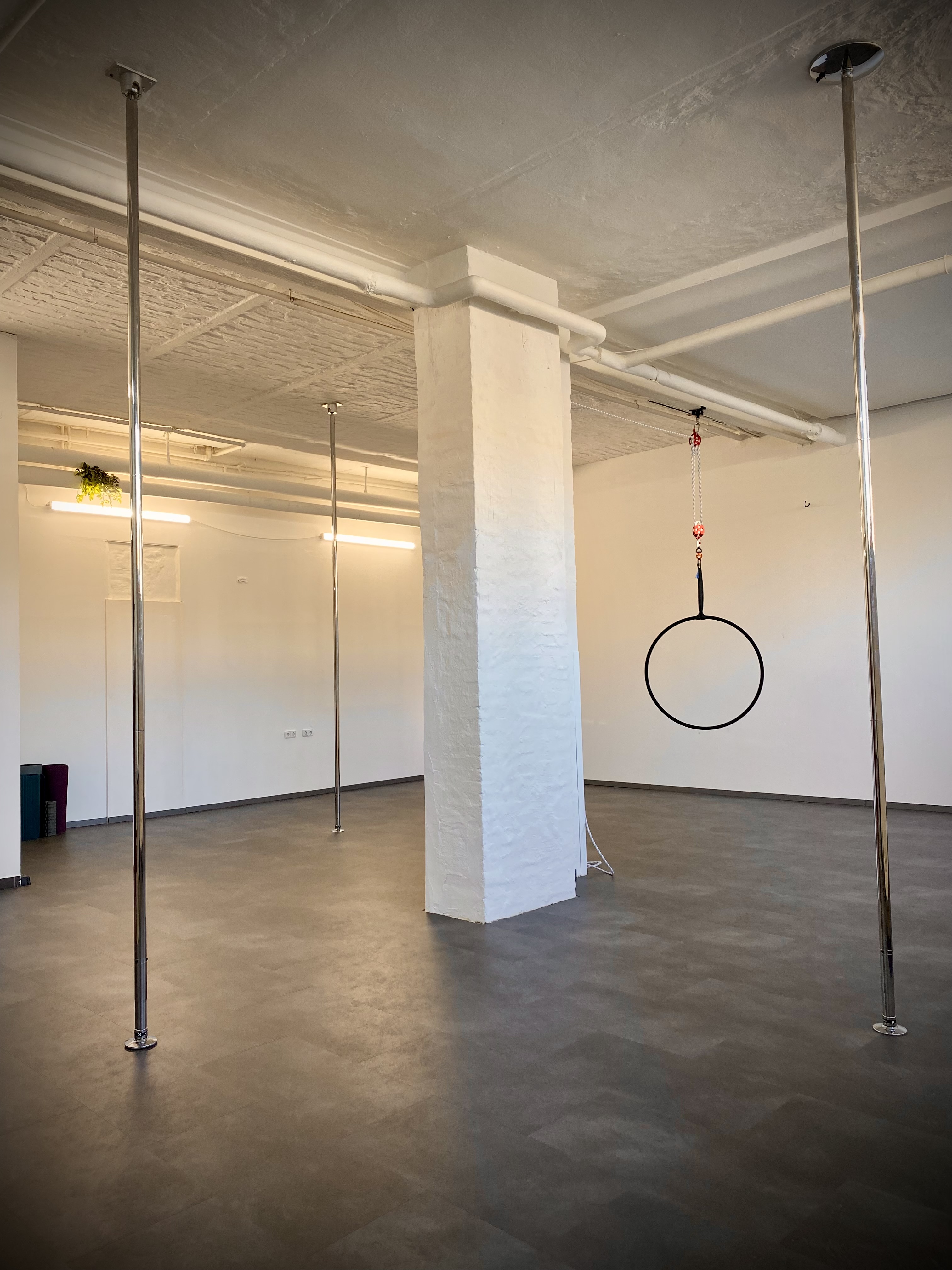 Vertical Athletics Studio